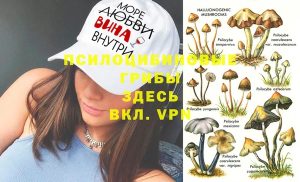 Альфа ПВП Покров