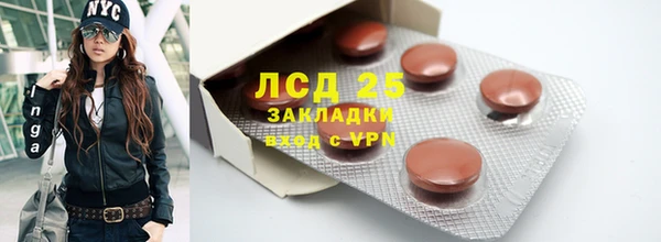 стафф Алексин