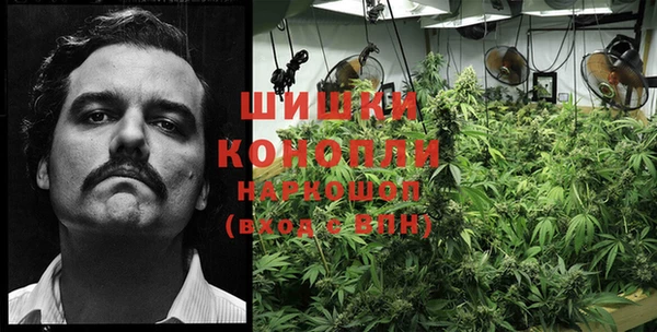 эйфоретик Покровск